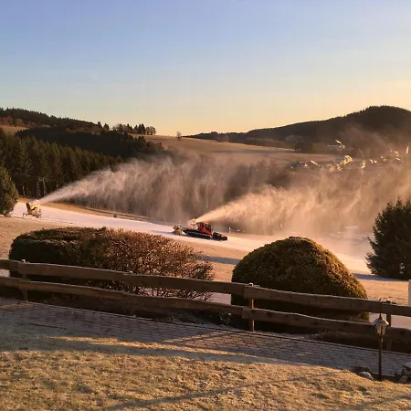 An Der Piste * Willingen (Upland)